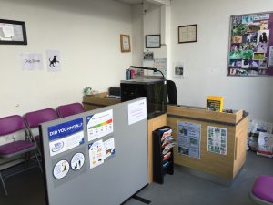 Lower reception desk in the cat zone